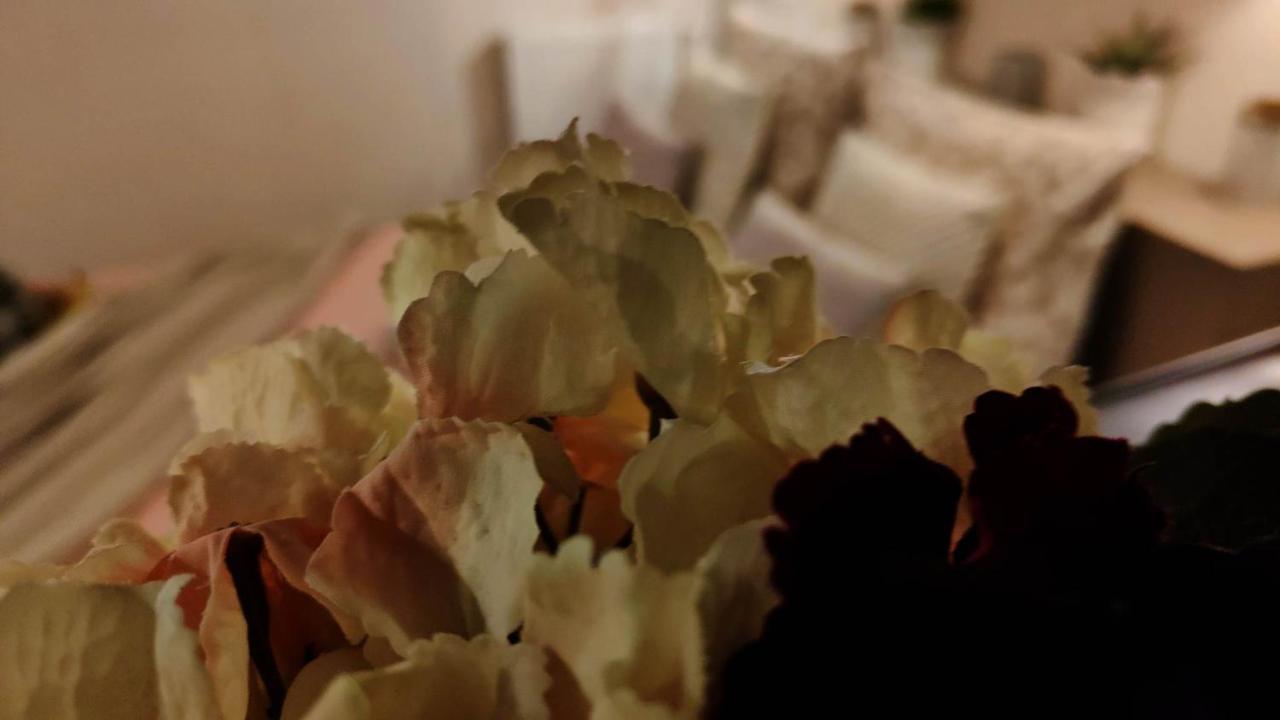 Les Reves D'Eglantine Et D'Augusta Chambres Et Gites Saint-Cyr  外观 照片