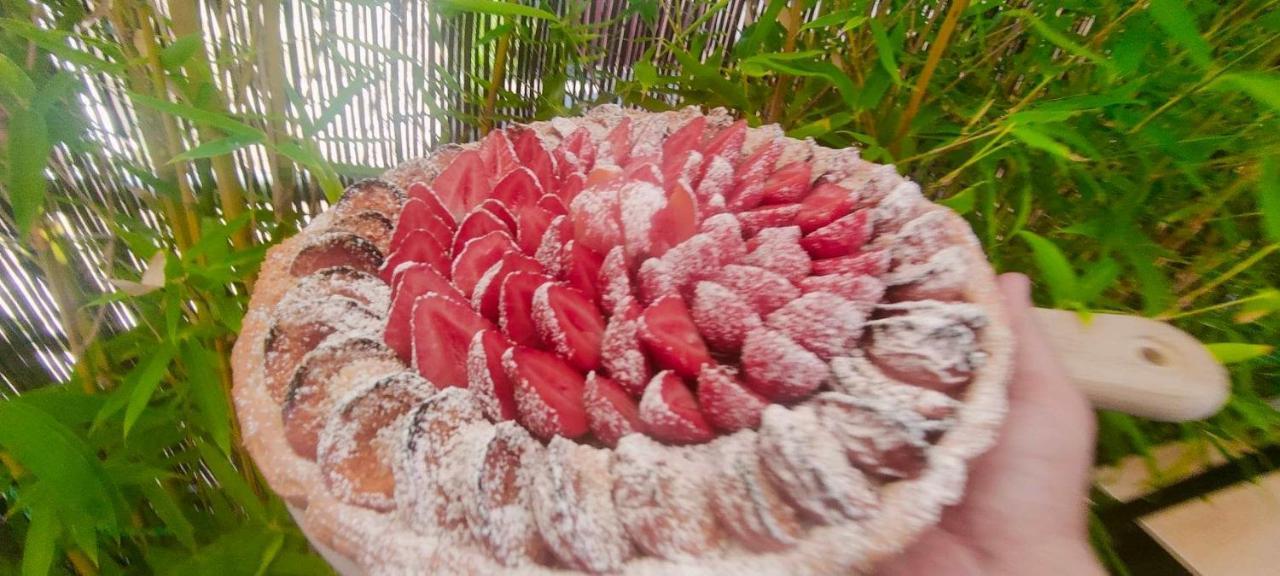 Les Reves D'Eglantine Et D'Augusta Chambres Et Gites Saint-Cyr  外观 照片
